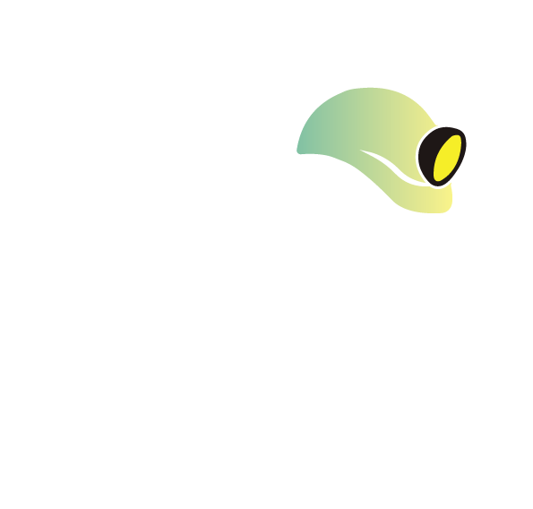 HD Mining & Engineering Solutions